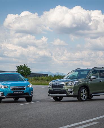Forester and XV_low-001-23374